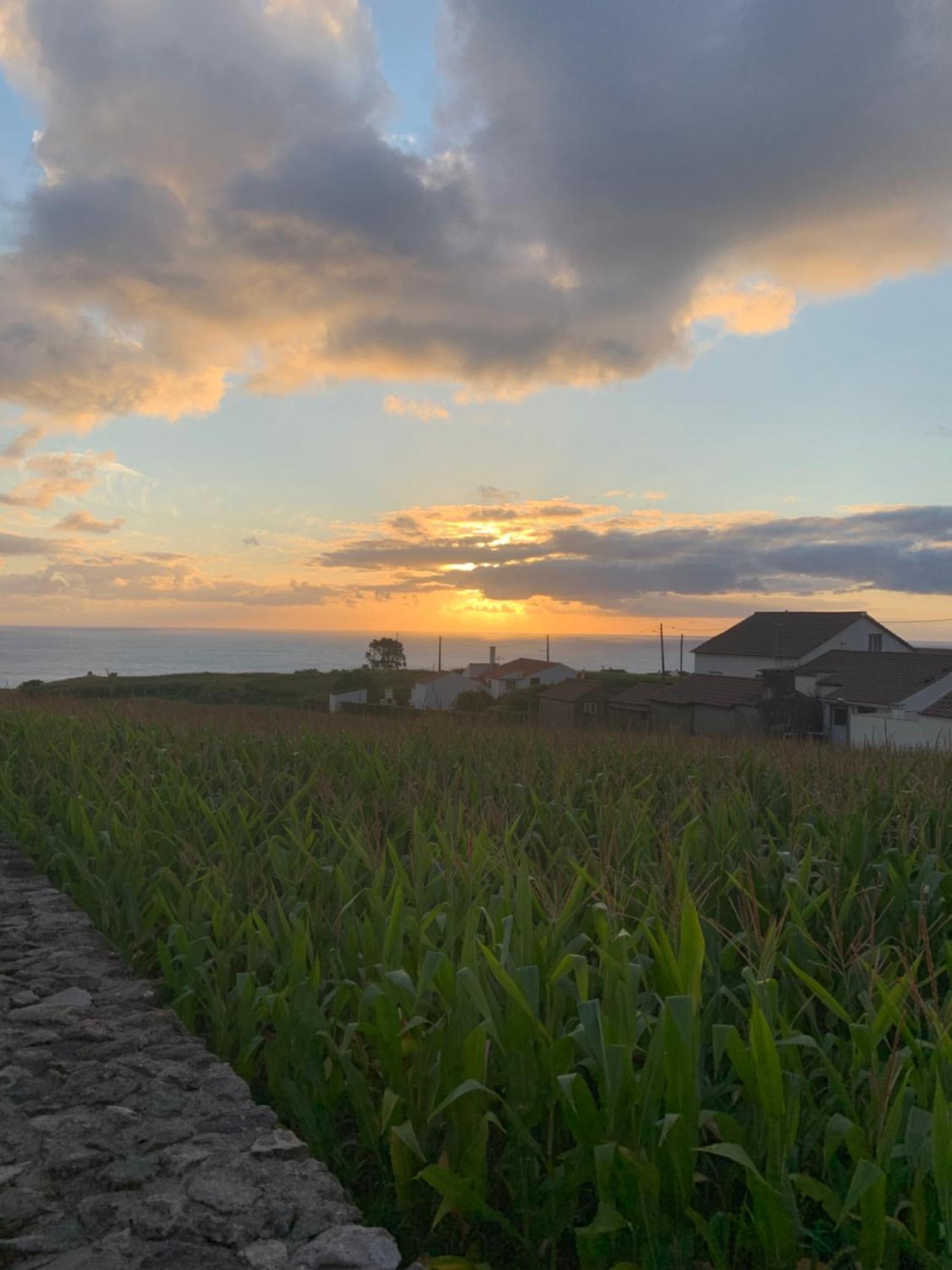 Willa Casa Do Riacho Nordeste  Zewnętrze zdjęcie